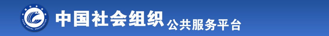 狠狠狠艹全国社会组织信息查询